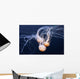 Three Swimming Ocean Jellyfish Wall Decal