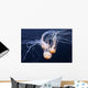 Three Swimming Ocean Jellyfish Wall Decal