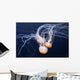Three Swimming Ocean Jellyfish Wall Decal