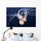 Three Swimming Ocean Jellyfish Wall Decal