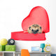 Small Forest Hedgehog in a Red Gift Box in Heart Shape Wall Decal