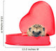 Small Forest Hedgehog in a Red Gift Box in Heart Shape Wall Decal