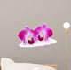 Purple Orchid Flower White
