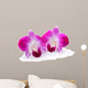 Purple Orchid Flower White