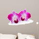 Purple Orchid Flower White