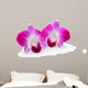 Purple Orchid Flower White