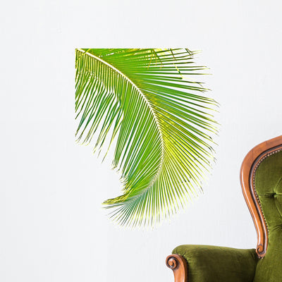 Coconut Palm Wall Decal shown on a wall