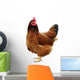Chicken One Chicken Wall Decal