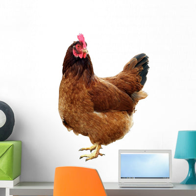 Chicken One Chicken Wall Decal shown on a wall