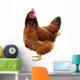 Chicken One Chicken Wall Decal