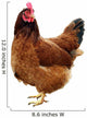 Chicken One Chicken Wall Decal