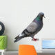 The grey pigeon Wall Decal