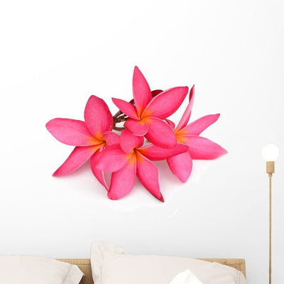 Tropical Flowers Frangipani Plumeria Wall Decal shown on a wall