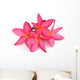 Tropical Flowers Frangipani Plumeria Wall Decal