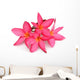 Tropical Flowers Frangipani Plumeria Wall Decal
