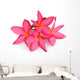 Tropical Flowers Frangipani Plumeria Wall Decal