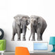 Pair Elephants White