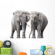 Pair Elephants White