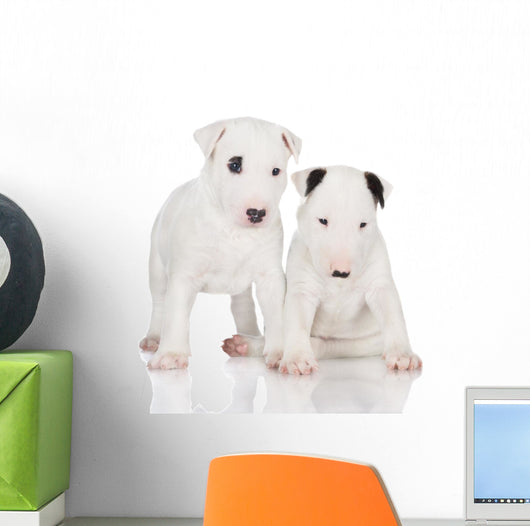 White English Bull Terrier Puppies Wall Decal