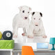 White English Bull Terrier Puppies Wall Decal