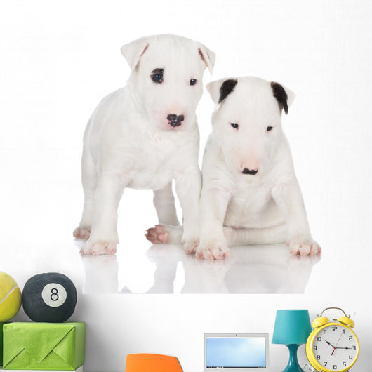 White English Bull Terrier Puppies Wall Decal