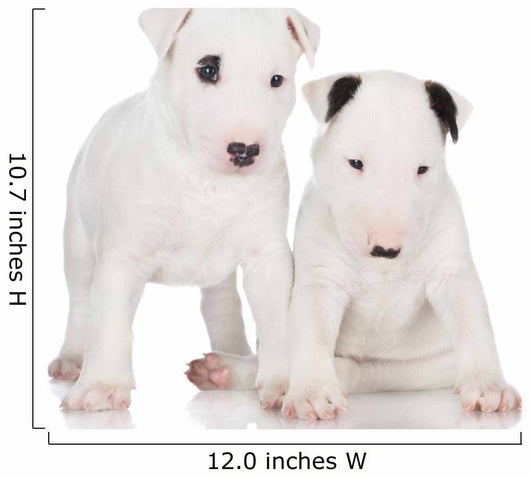 White English Bull Terrier Puppies Wall Decal