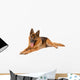 Funny Cute Dog White
