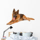 Funny Cute Dog White