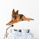 Funny Cute Dog White