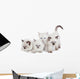 Cute Ragdoll kittens Wall Decal