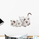 Cute Ragdoll kittens Wall Decal