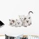 Cute Ragdoll kittens Wall Decal