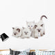 Cute Ragdoll kittens Wall Decal
