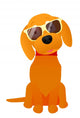 Funny Puppy Sunglasses