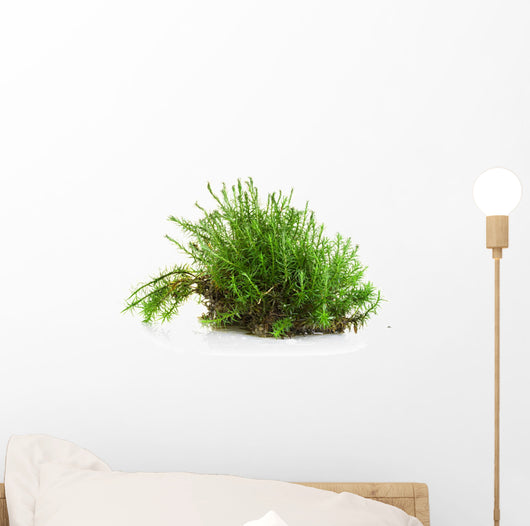 Green moss Wall Decal