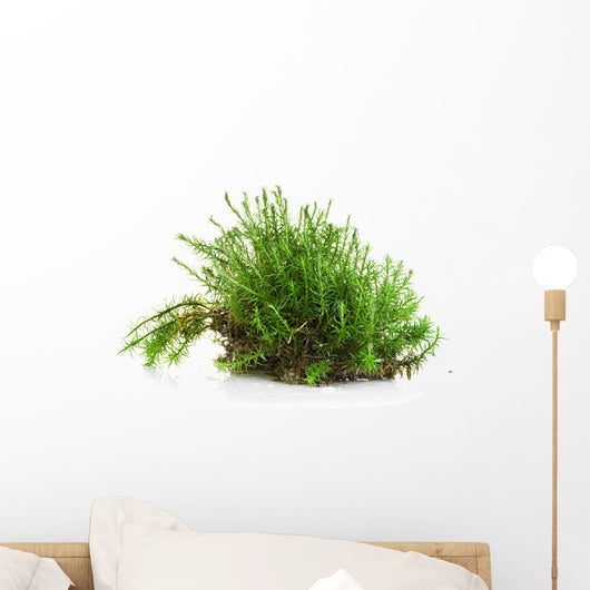 Green moss Wall Decal