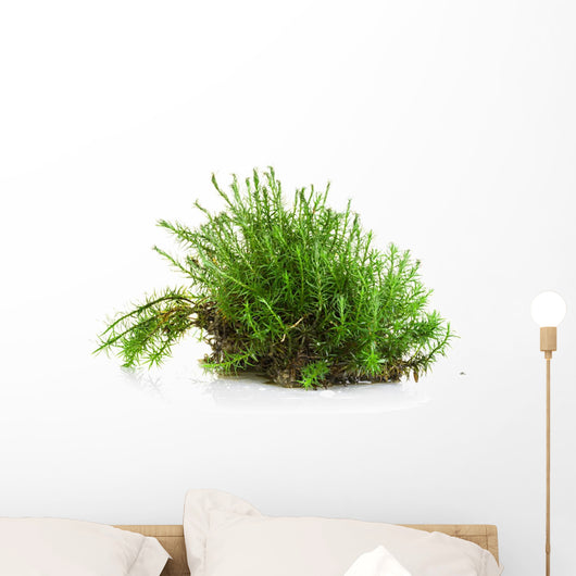 Green moss Wall Decal