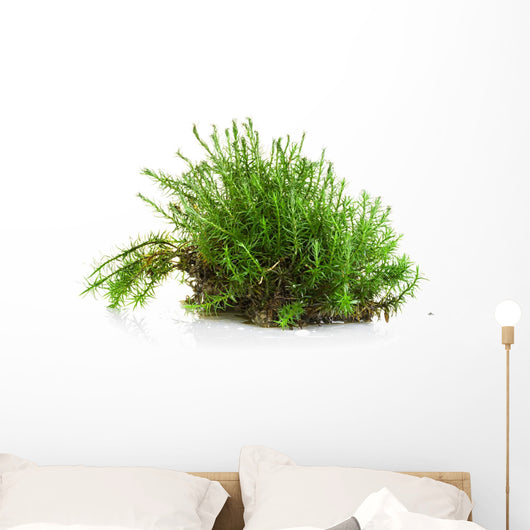 Green moss Wall Decal