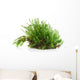 Green moss Wall Decal