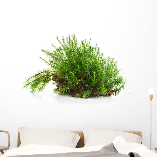 Green moss Wall Decal