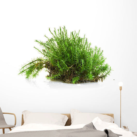 Green moss Wall Decal