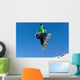 Snowboard Wall Mural