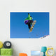 Snowboard Wall Mural