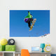 Snowboard Wall Mural