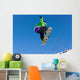 Snowboard Wall Mural