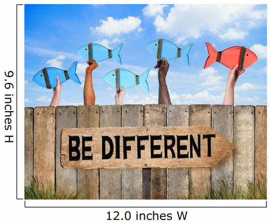 Fish and Wooden Signboard with Different Concept Wall Mural