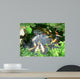 Koi Carp in a Pond Wall Mural