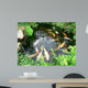 Koi Carp in a Pond Wall Mural