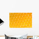 Honeycomb close-up Wall Mural