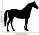 Black Horse Silhouette 2
